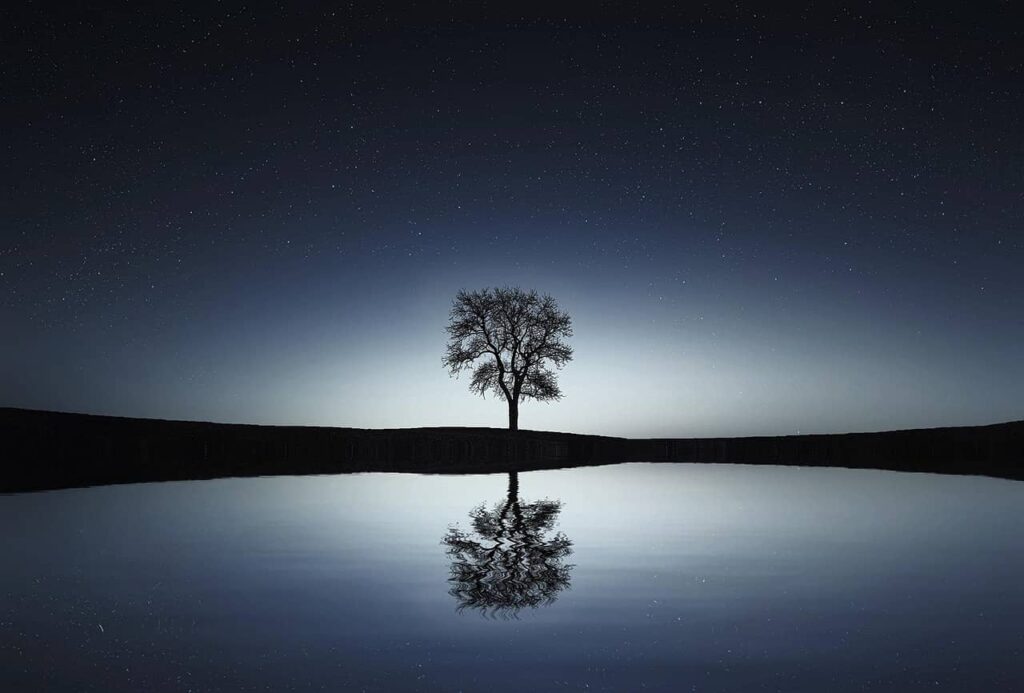 Arbre et son reflet dans l'eau, en pleine nuit étoilée