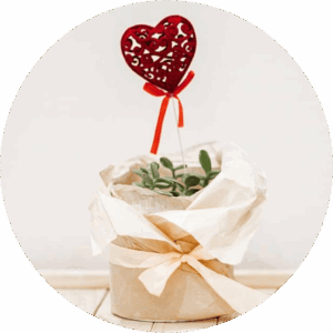 Coeur Décoration d'un cœur rouge planté dans un bouquet de fleurs naissantes